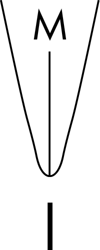 1520456